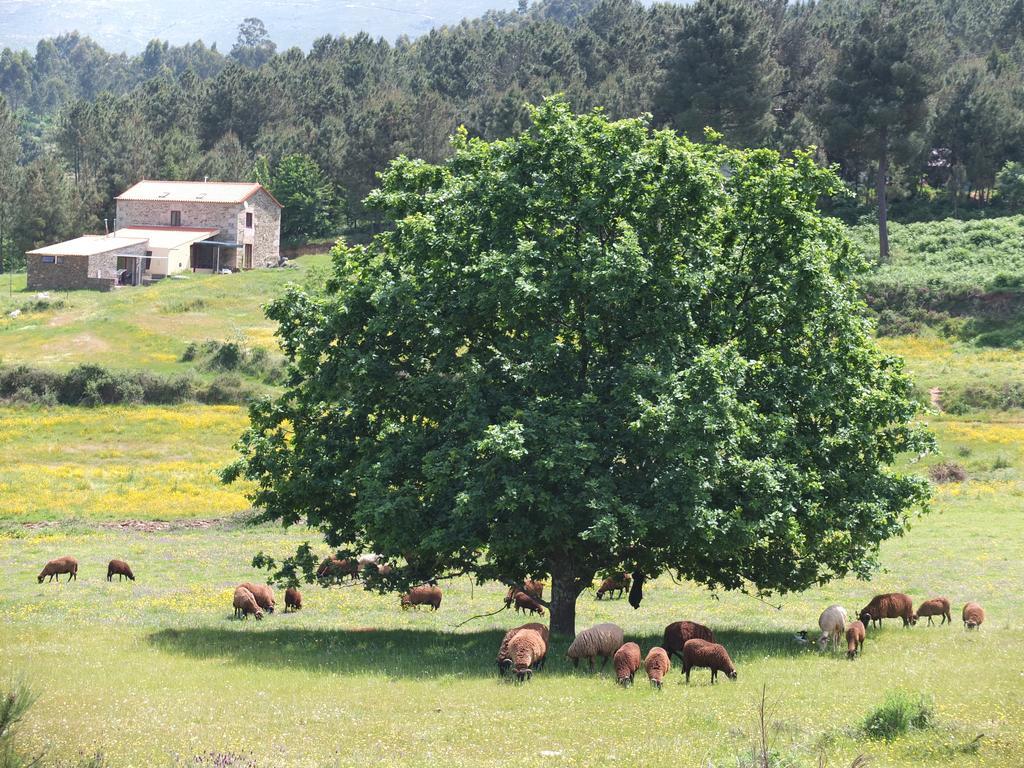 Willa Quinta Da Cerdeira Seia Zewnętrze zdjęcie